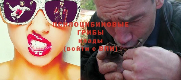 молекула духа Богородицк