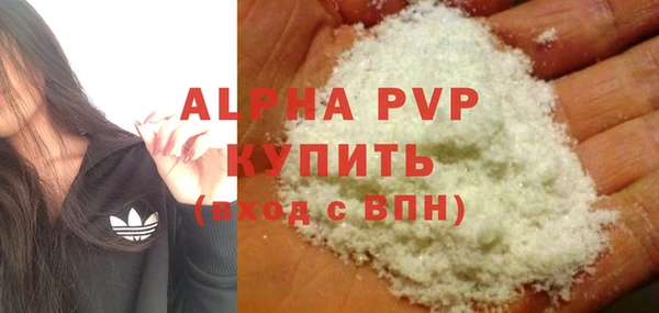 молекула духа Богородицк