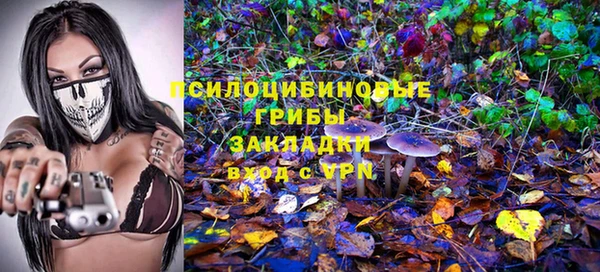 спайс Богданович
