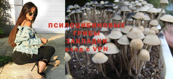 гашик Богородск