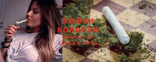 спайс Богданович
