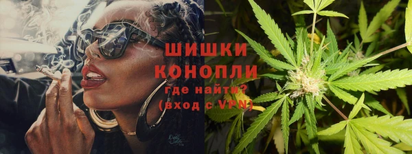 спайс Богданович