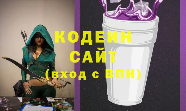 молекула духа Богородицк