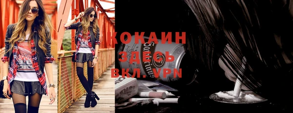 спайс Богданович