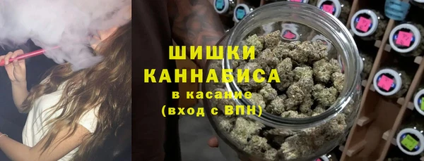 спайс Богданович