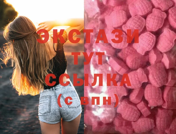 молекула духа Богородицк