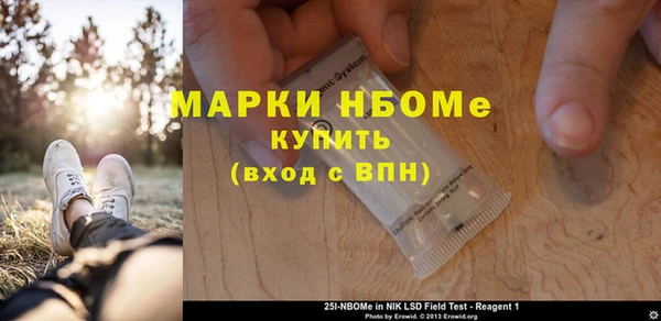 молекула духа Богородицк