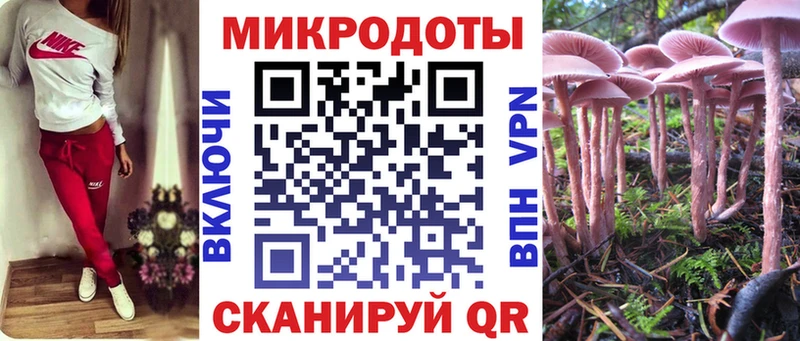 Галлюциногенные грибы MAGIC MUSHROOMS blacksprut ссылка это как зайти Оса